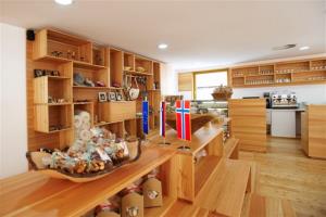 RINKA - VEČNAMENSKO SREDIŠČE ZA TRAJNOSTNI RAZVOJ SOLČAVSKEGA